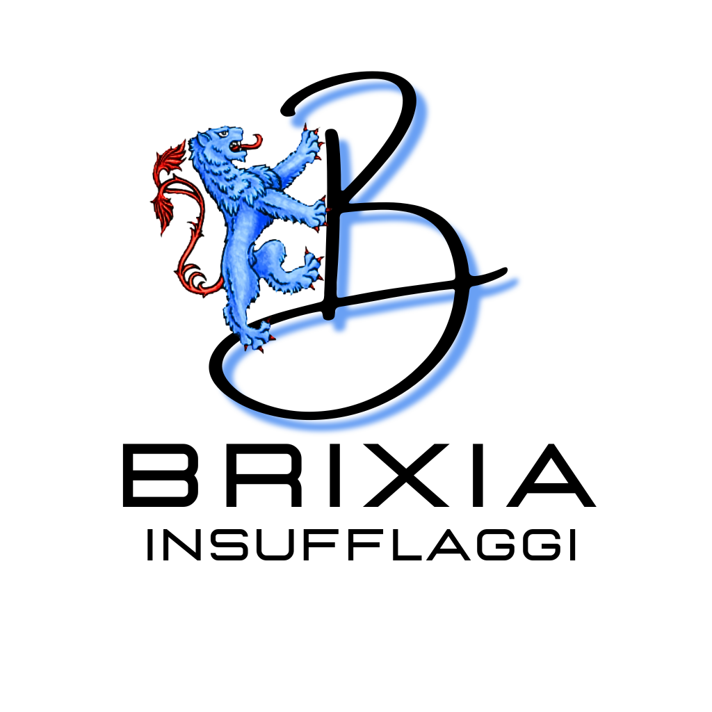 logo BRIXIA INSUFFLAGGI s.f. (1)